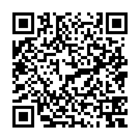 QR code for PZ87381