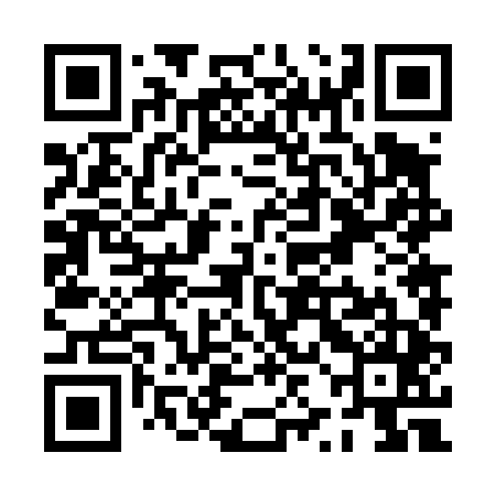 QR code for PZN445