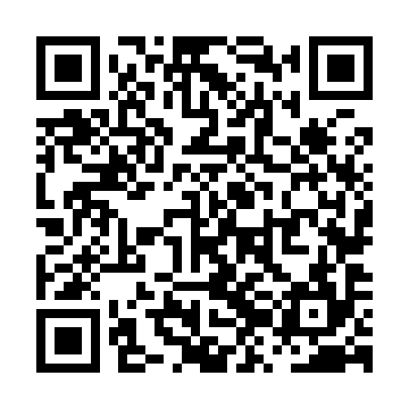 QR code for PZN994