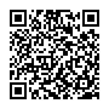 QR code for PZQ734