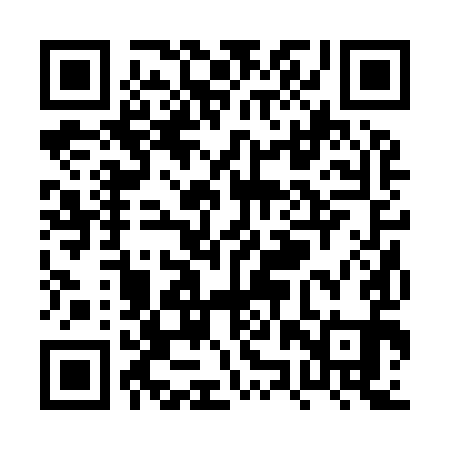 QR code for PZR991