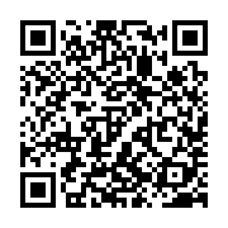 QR code for PZV389