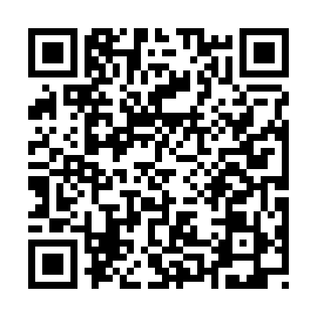 QR code for Q002595