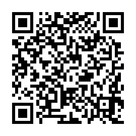QR code for Q00393
