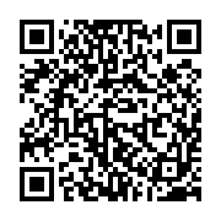 QR code for Q01593