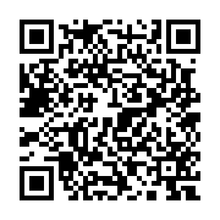QR code for Q030575