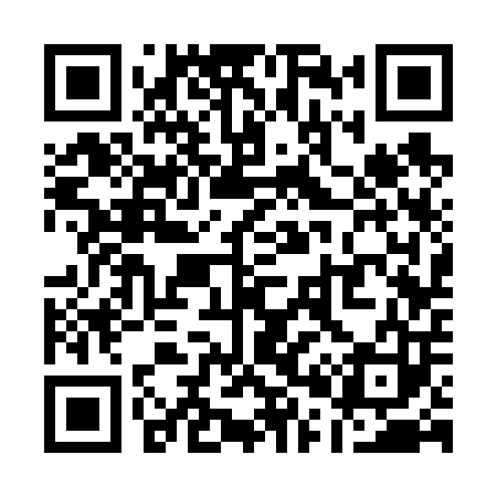 QR code for Q03603