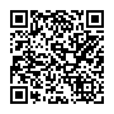 QR code for Q04619