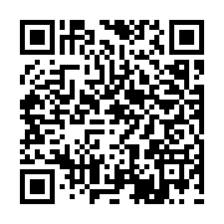 QR code for Q051370