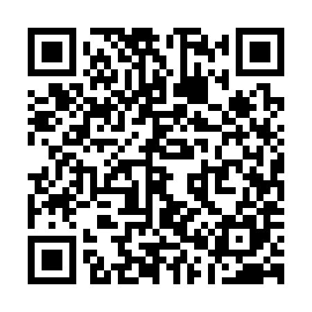QR code for Q05385