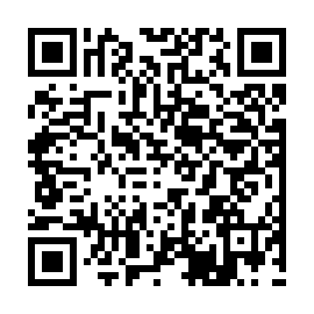 QR code for Q062441