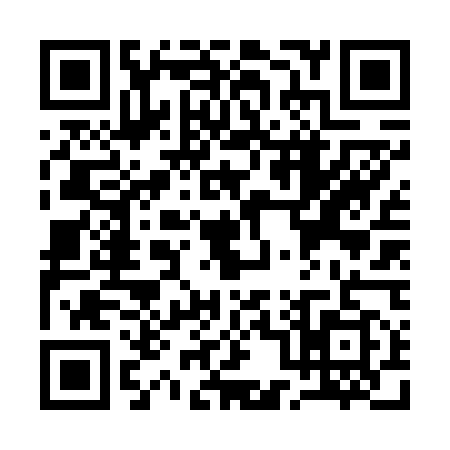 QR code for Q066593