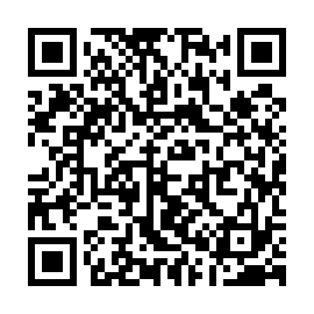 QR code for Q09533