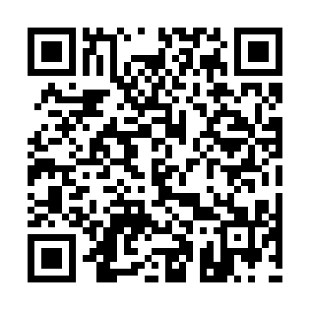 QR code for Q10211