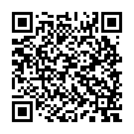 QR code for Q10382