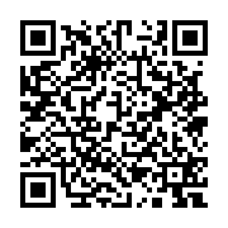 QR code for Q111219