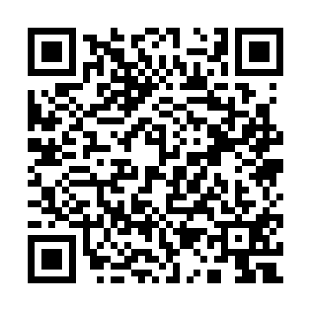 QR code for Q113111