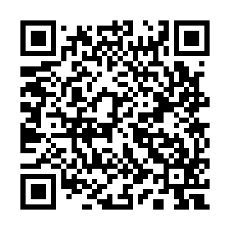 QR code for Q13197