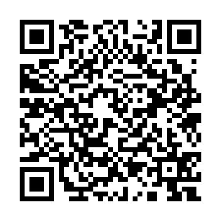 QR code for Q133353