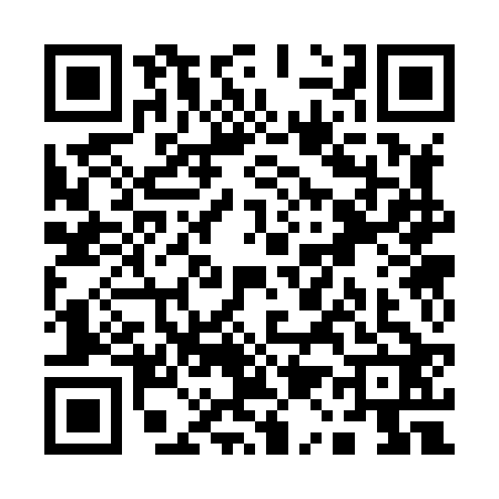QR code for Q138221