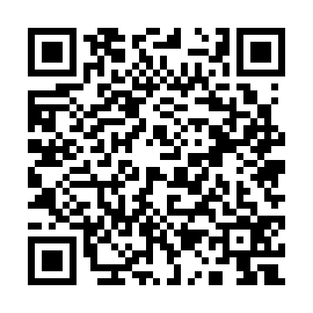 QR code for Q153363