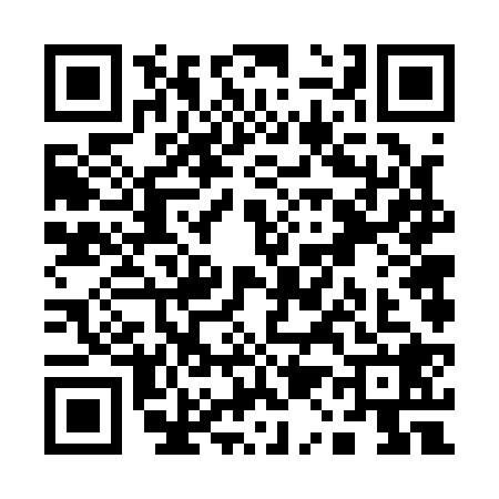 QR code for Q161286