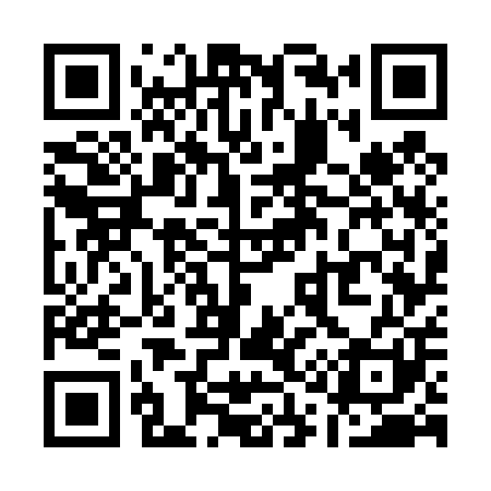 QR code for Q17401