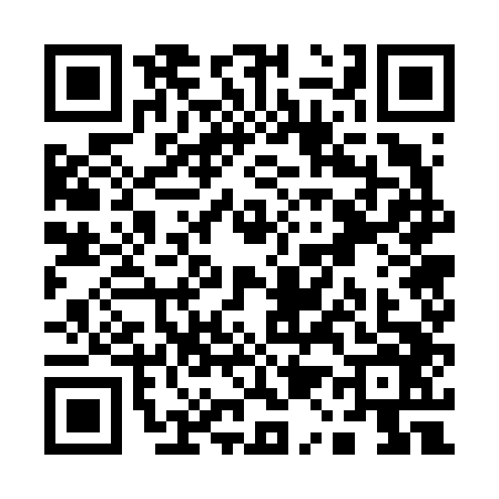 QR code for Q176463