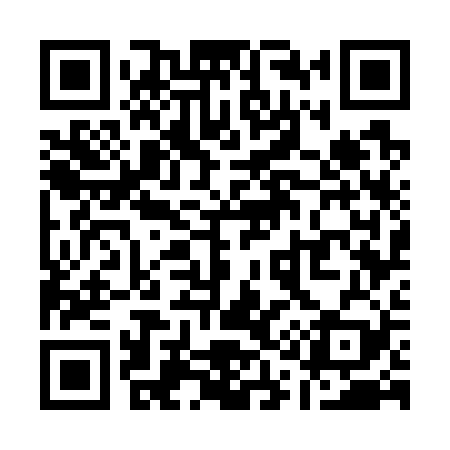 QR code for Q17729