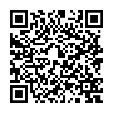 QR code for Q185376