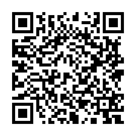 QR code for Q198217