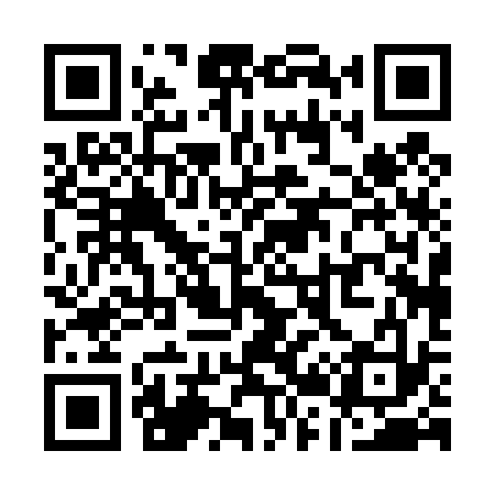 QR code for Q20433