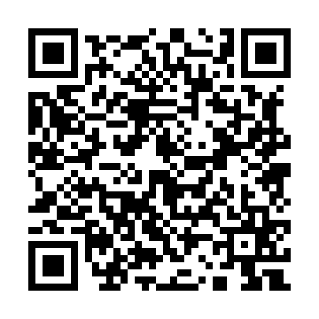 QR code for Q208651