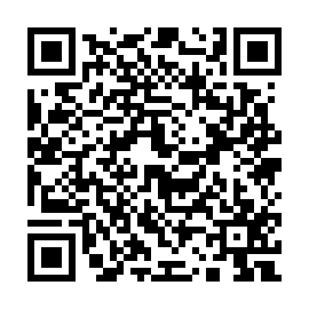 QR code for Q217177