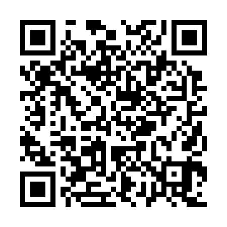 QR code for Q22341
