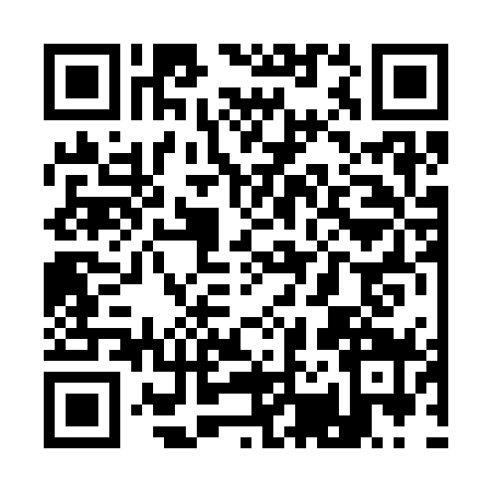 QR code for Q223795