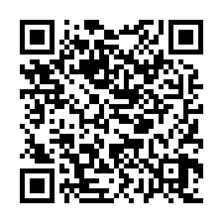 QR code for Q24828