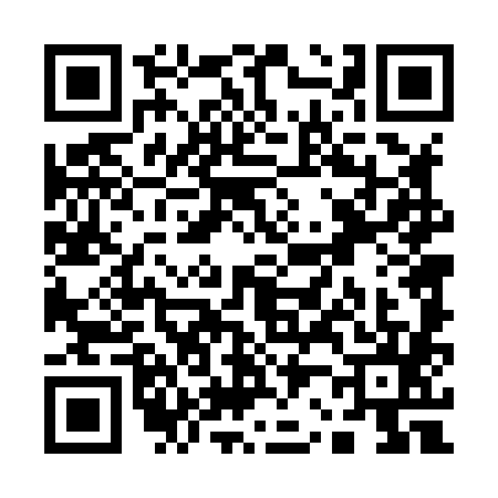 QR code for Q248858