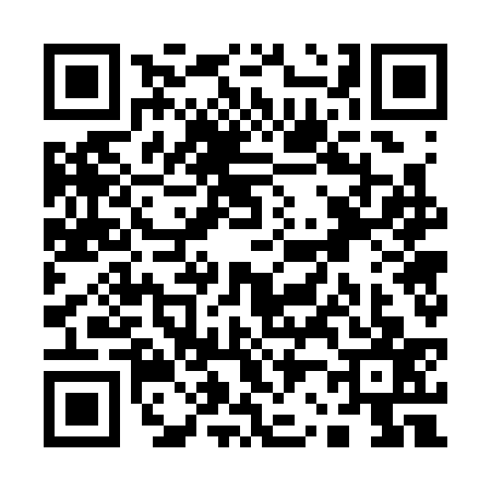 QR code for Q273370