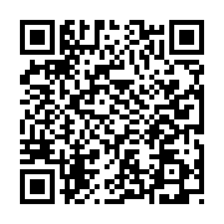 QR code for Q285223