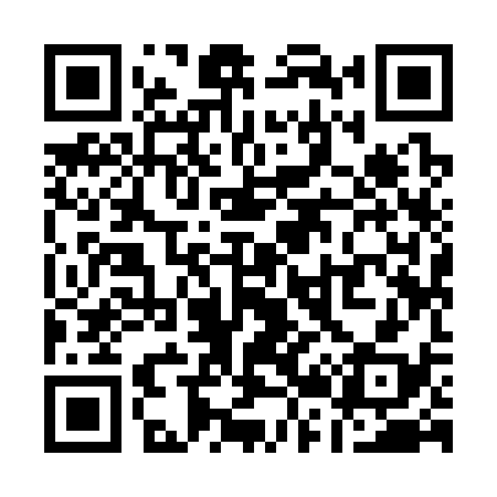 QR code for Q29338