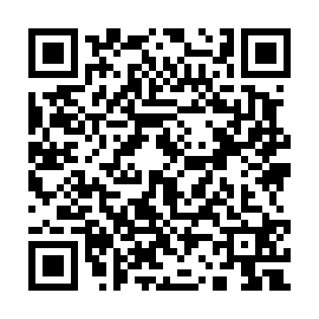 QR code for Q294205