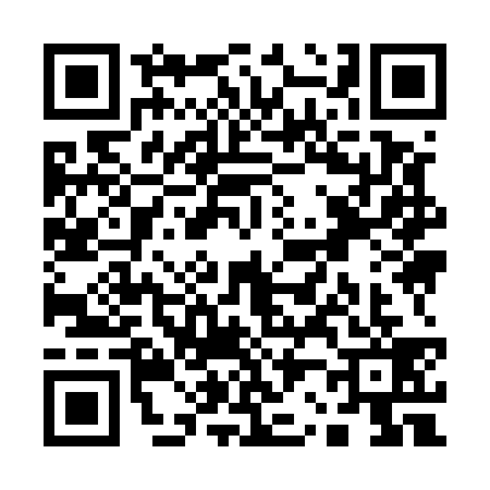 QR code for Q295397