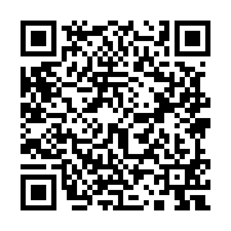QR code for Q295916