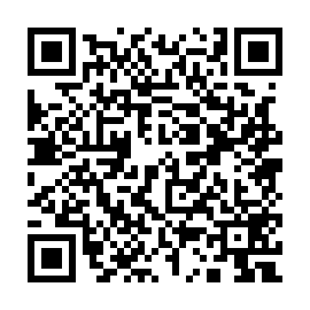 QR code for Q301594
