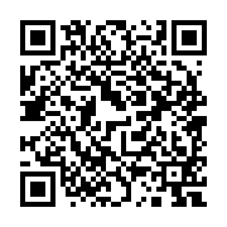 QR code for Q302930