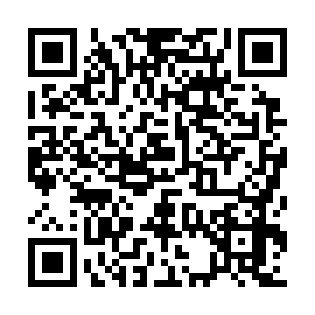 QR code for Q303784