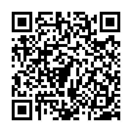 QR code for Q317325