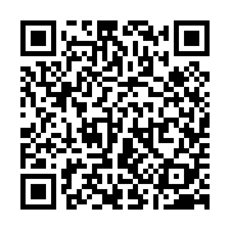 QR code for Q33009