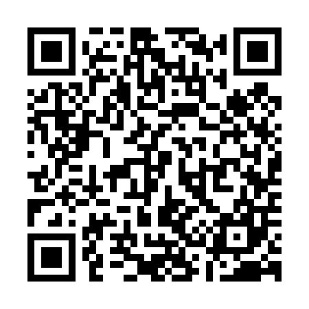QR code for Q33407